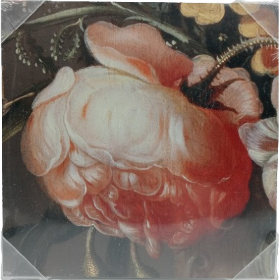 Obraz z dibondu 20x20cm obrazek dekoracja kwiat piwonia
